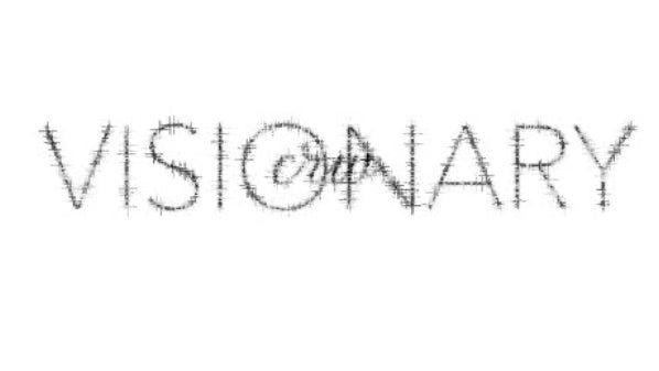 visionarycrw